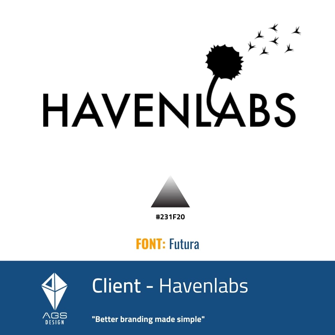 HavenLabs Brand Identity